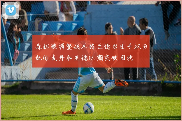 森林狼调整战术将兰德尔出手权分配给麦丹和里德以期突破困境