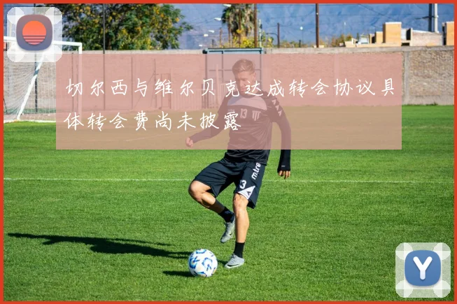 切尔西与维尔贝克达成转会协议具体转会费尚未披露